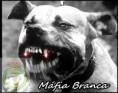 /album/real-mafia-branca/real-mafia-branca-5-jpg1/